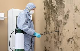 Best Industrial Mold Remediation  in Highlands, TX